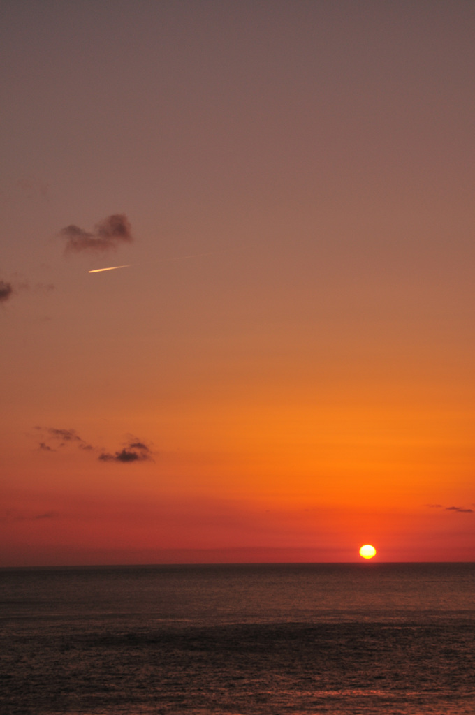 DSC_5000