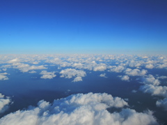 DSCN1170