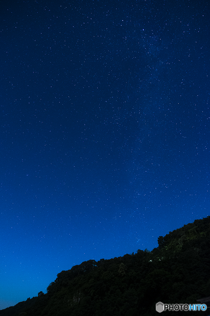 鈴虫鳴く夜に