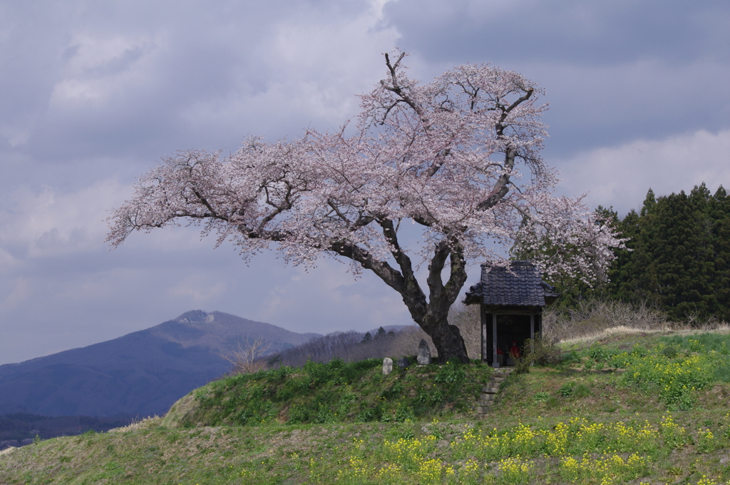 春の原風景