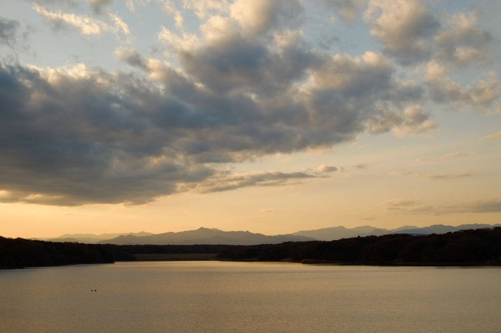 都立狭山公園にて（9）～多摩湖夕暮