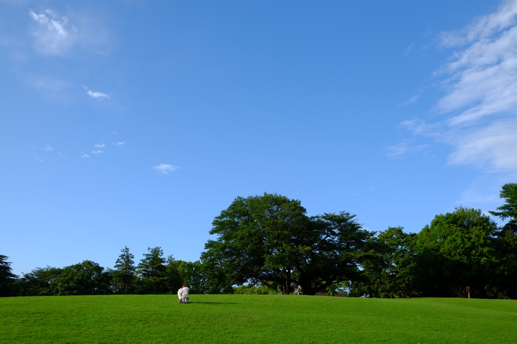 航空公園にて