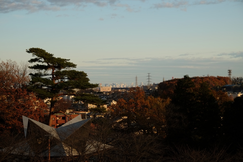 都立狭山公園にて（6）～彼方に新宿大都会