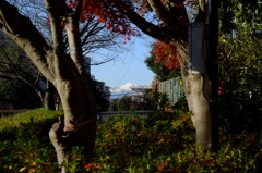 富士山、ここにあり