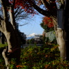 富士山、ここにあり