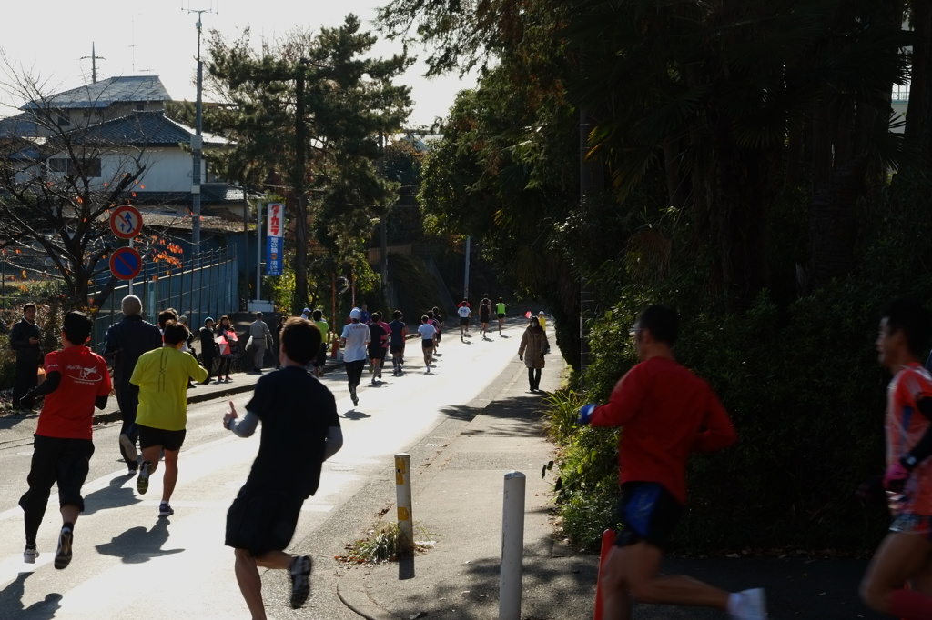 所沢市民マラソン（1）