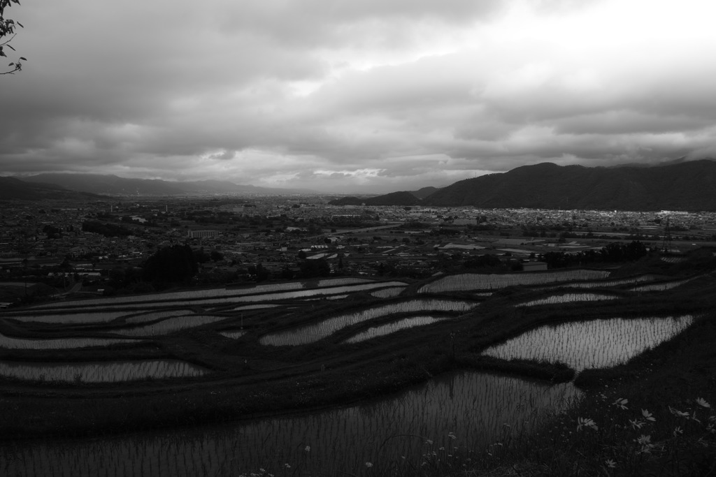 雨脚の予感