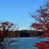 朝の多摩湖から