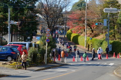 所沢市民マラソン（2）