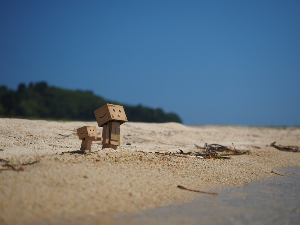 海にいったようです