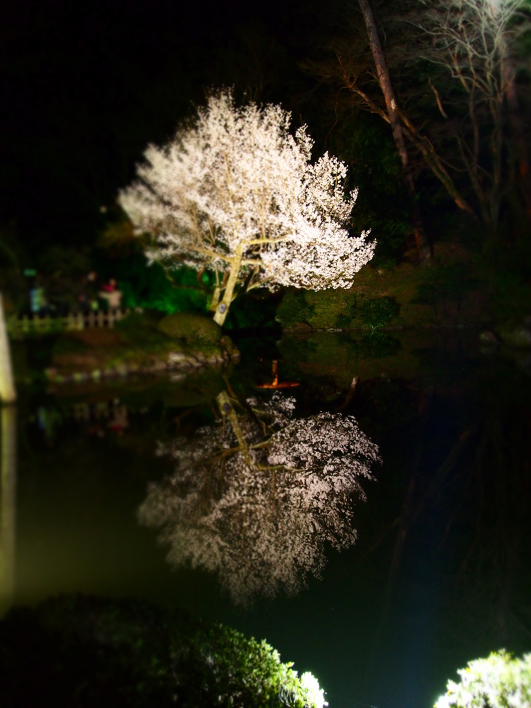 兼六園 桜 エフェクト(ジオラマ？)