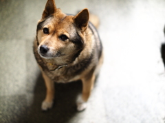 どうしたの？
