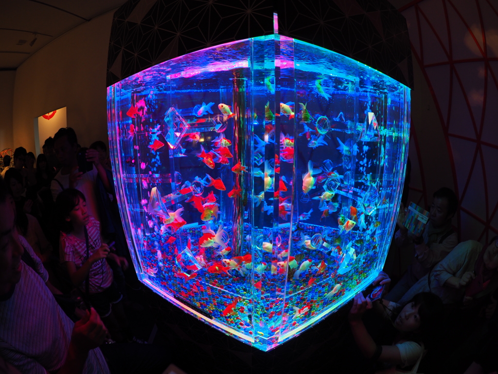 金沢アクアリウム展