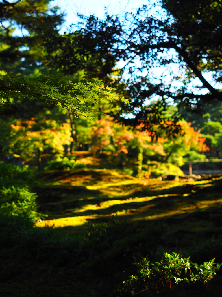 紅葉の兼六園