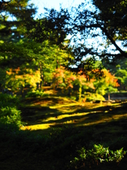 紅葉の兼六園