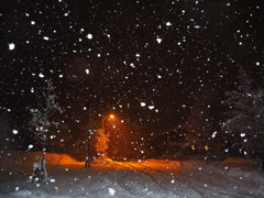 日常の雪