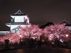 金沢城夜桜