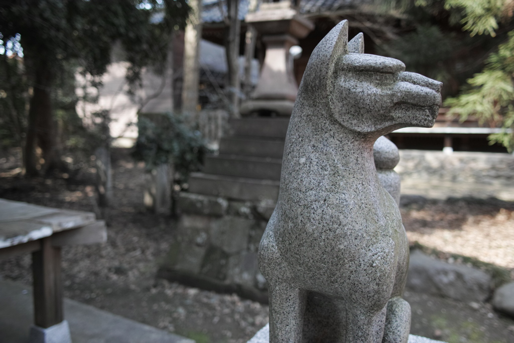お出迎え