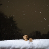 ダンボーが雪を見に来たそうです。
