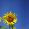 DSC00508-2