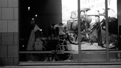 DSCF3196