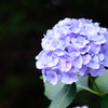 DSCF2465-2