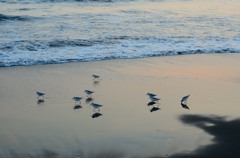 DSC_2057