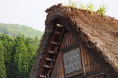 白川郷　合掌造り3
