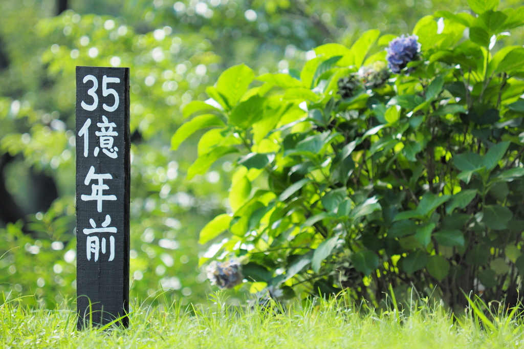 35億年前？