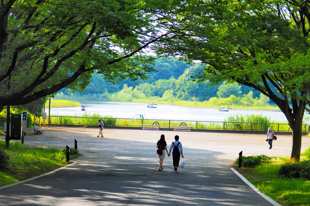 手をつないで