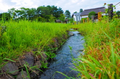 川のせせらぎ