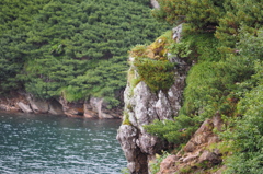 大観峰　崖