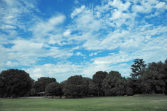 青空