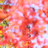 多宝塔