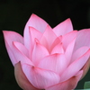 Exquisite colour and shape out of mud 1