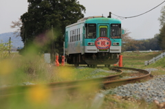 菜の花に北条鉄道２