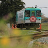 菜の花に北条鉄道２