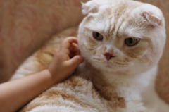 なんすんねな