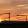 夕日にN700系