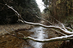 雪彦山麓