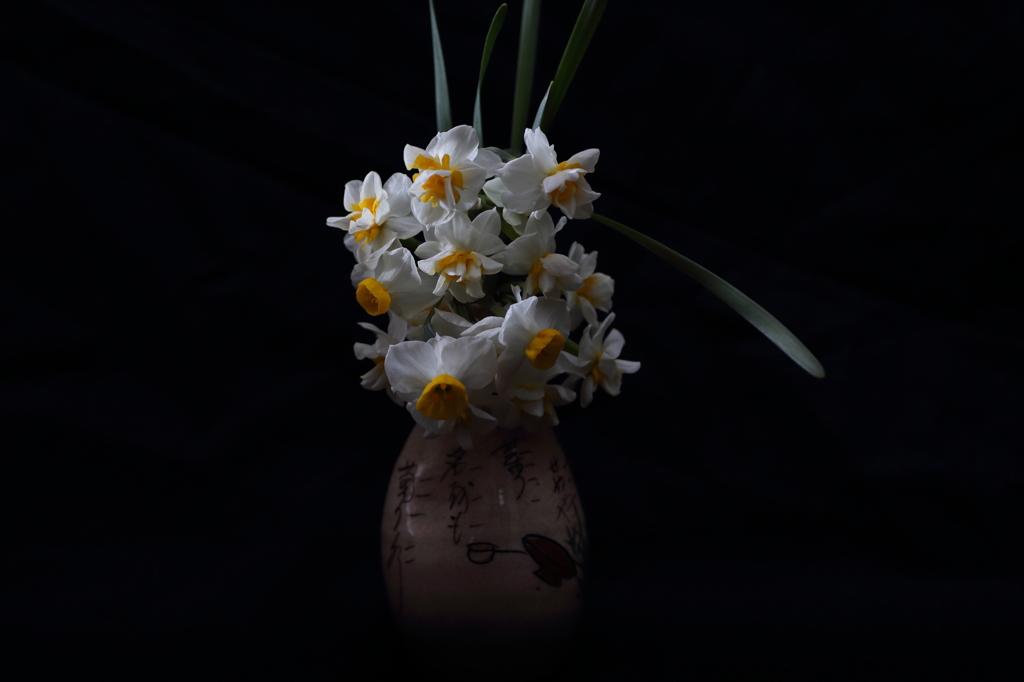生花　水仙　フォトスタジオバビー