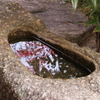 安養院　３