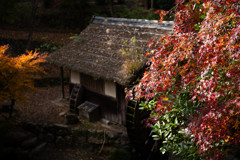 水車小屋と紅葉