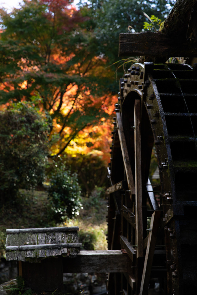 水車と紅葉