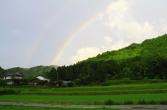 虹