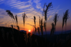 秋空