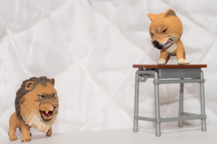 柴犬ＶＳライオン