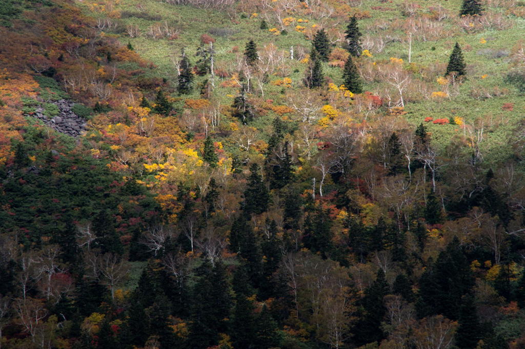 2018 東北の紅葉 八甲田山