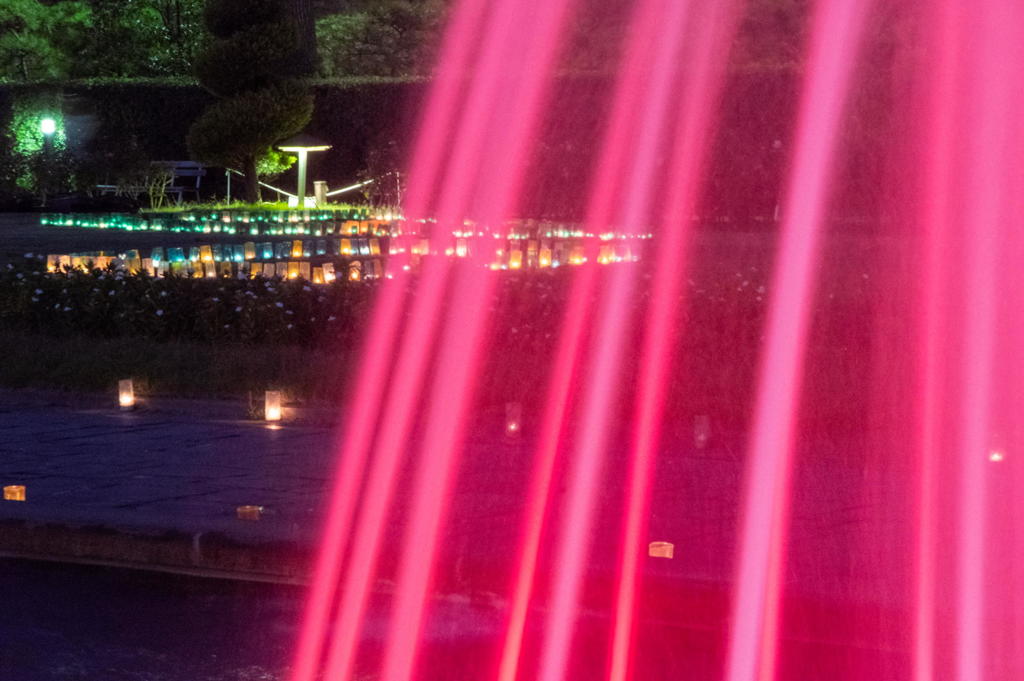 2018 秋薔薇フェス 離宮公園