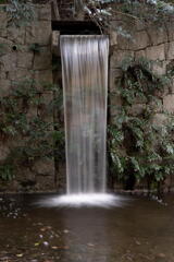 神戸森林植物園　小さな滝